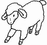 Pastor Appreciation Clip Cliparts Mouton Coloriage Attribution Forget Link Don sketch template