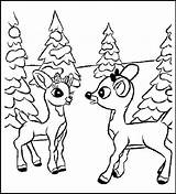 Coloring Rudolph Pages Reindeer Clarice Nosed Red Santa Rudolf His Printable Color Comet Kids Drawing Print Winter Christmas Children Sheets sketch template