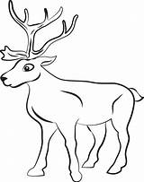 Reindeer Coloring Printable Pages Template Kids Caribou Templates Print Animals Reindeers Animal Colouring Color Deer Christmas Flying Sheets Drawing Getcolorings sketch template