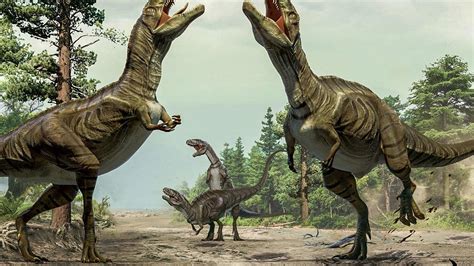 dinosaurs may have danced like birds to woo mates science aaas