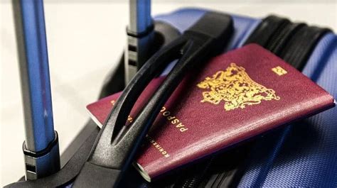 rueyada pasaport goermek ne demek baskasina ait yesil ve kirmizi
