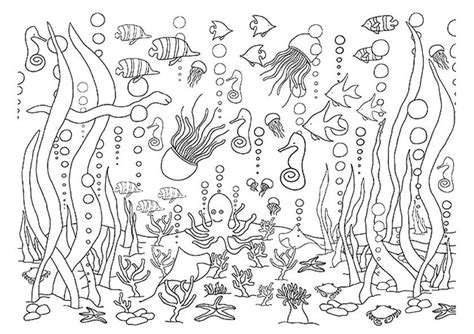 underwater coloring pages diy thought