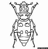 Coloring Pages Bugs Creepy Colouring Crawlies sketch template