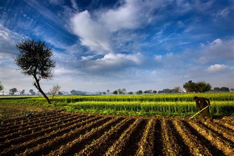 agriculture farm landscape nature sky countryside pakistan field people wallpapers hd