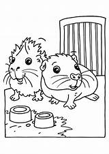 Guinea Meerschweinchen Cavia Ausmalbild Kleurplaten Hamster Ausmalen Dieren Malvorlage Tegne Pigs Gode Nogen Til Schattige Guinee Porc Animaatjes Marsvin Rubrik sketch template