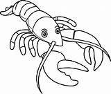 Lobster Coloring Cartoon Drawing Spiny Pages Line Drawings Getdrawings Paintingvalley Draw Claw Clipartmag Coloringbay Easy sketch template