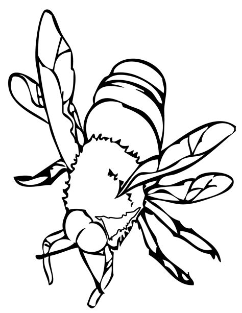 cartoon bee coloring page   cartoon bee coloring page