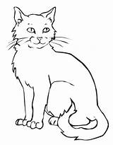 Cat Coloring Pages Wild Getcolorings Color sketch template