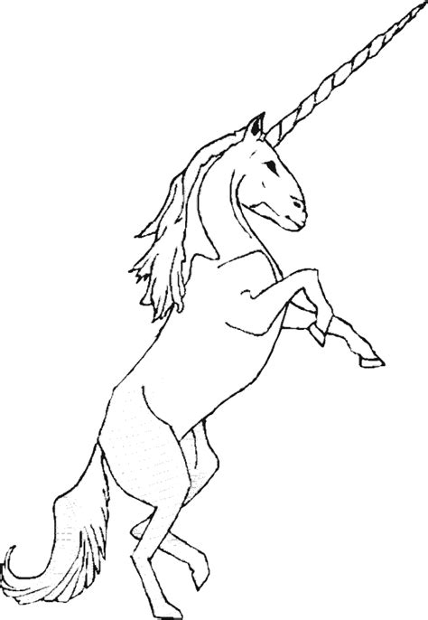 real unicorn coloring pages