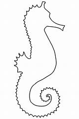 Seahorse Outline Clipart Coloring Clip Horse Publicdomainpictures Animal Blank Fish Animals Shape Clipground sketch template