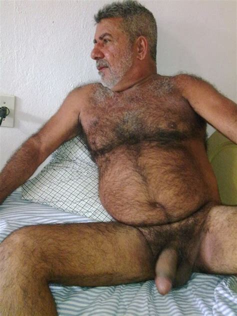 hairy bear dad cock pics and galleries