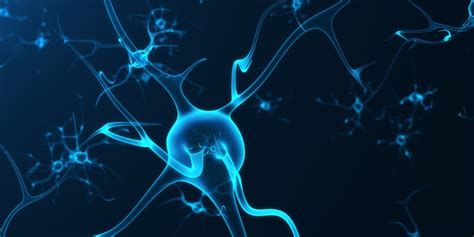 Understanding The 5 Different Types Of Neuropathy
