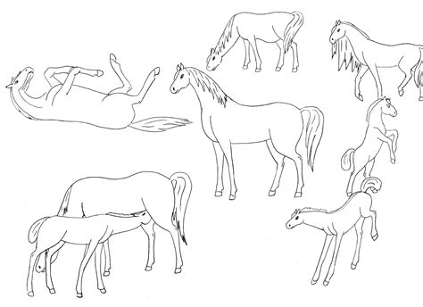 planse de colorat cu cai