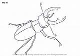 Beetle Stag Draw Drawing Step Beetles Tutorials Improvements Necessary Finally Finish Make Drawingtutorials101 sketch template