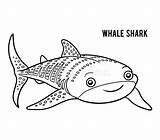 Shark Squalo Balena Book Kleurend Boek Walvishaai Haai Kleuren Illustratie Volwassen Hammerhead Basking sketch template