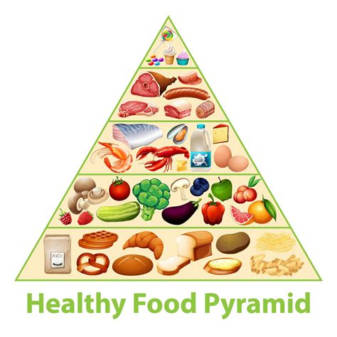 tabla de piramide de alimentos saludables  vector en vecteezy