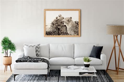 cheetah art print animal decor cat photography vintage etsy