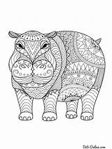 Volwassenen Nijlpaard Hippopotamus Leukekleurplaten Nilpferd Ausmalbilder Adult Paard Erwachsene Herdershond Coloringpage Ausdrucken Besteausmalbilder Moeilijke Lente Olifant sketch template