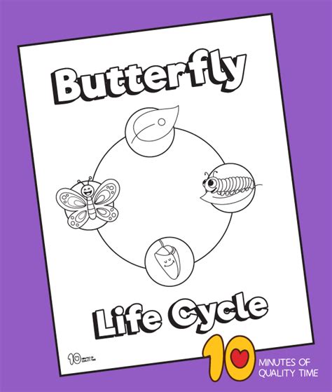 coloring page  butterfly life cycle butterfly coloring page
