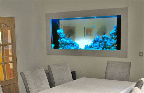 wall aquarium design installation  wall fish tank uk specialist
