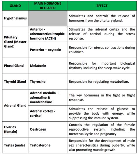 biopsychology the endocrine system hormones psychology tutor2u