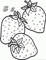 Strawberries Drawing Strawberry Coloring Pages Getdrawings sketch template
