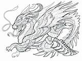 Coloring Pages Dragon Printable Adults Advanced Warrior Dragons Mystical Colouring Color Greek Getcolorings Mythology Creature Mythical sketch template