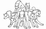 Wolf Pack Coloring Pages Wolves Drawing Anime Color Angry Six Howling Getdrawings Getcolorings Printable Print Powered sketch template