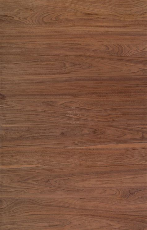 evergreen american walnut  veneer american walnut wood veneers