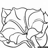 Georgia Coloring Keeffe Pages Flower Okeeffe Paintings Painting Printable Calico Keefe Okeefe Kids Thecolor Online Flowers Sheets Print Easy Pottery sketch template
