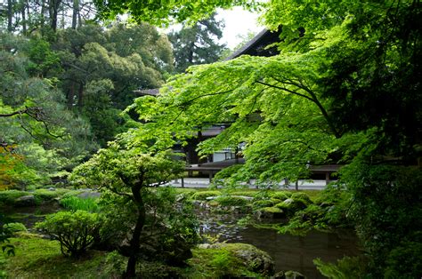 filezen garden nanzen ji temple  jpg wikimedia commons