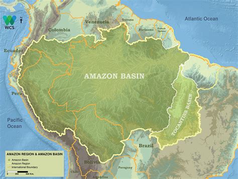 amazon basin worlds largest rainforest    history  guyana