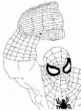 Spiderman Aranha Ragno Cartoni Animati Colorir Coloriage Stampare Ultimate Punho Gifgratis Prend Ton sketch template