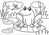 Coloring Frog Pages Printable Frogs Drawing Cartoon Supercoloring Categories Paper sketch template