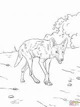 Coyote Coloring Wolf Pages Brush Printable sketch template