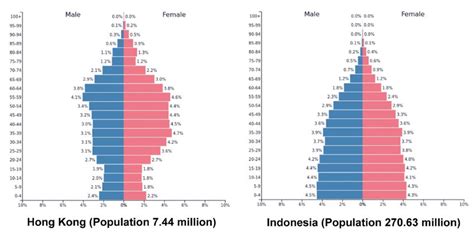 Population Pyramids Showing The Distribution Of Sex And Age Groups In