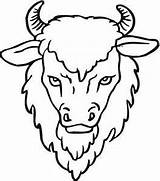 Buffalo Coloring Head Drawing Bison Pages Clipart Outline Kids Face Yak Printable Cape Color Drawings Animals Horns Template African Getdrawings sketch template