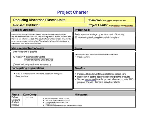 project charter templates samples excel word templatearchive