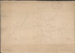 plan shewing surveyed gold sections vicinity  king river west coast tasmania cartographic