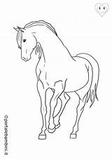 Colorare Cavalli Cavallo Portalebambini Disegni sketch template