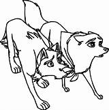 Balto Base Wolf Coloring Protection Wecoloringpage sketch template