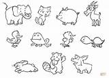 Animals Coloring Baby Pages Wild sketch template