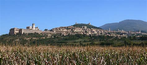 file assisi z00 wikimedia commons