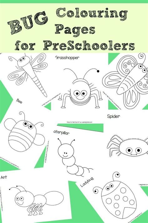 insect art preschool   bug colouring pages perfect