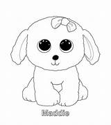 Beanie Ty Coloring Boo Boos sketch template