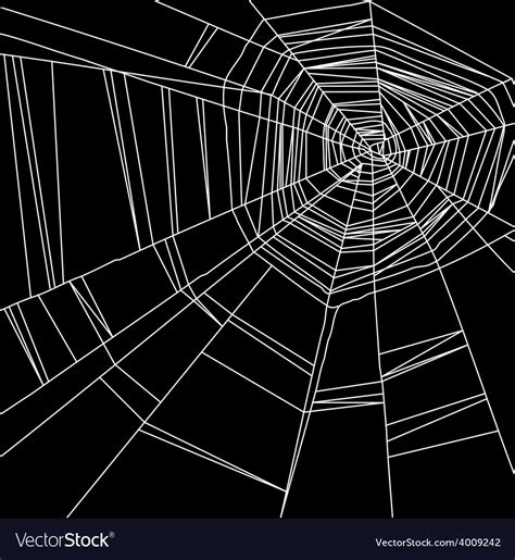 white spider web isolated   black background vector image