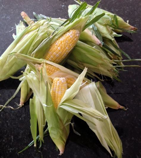 grilled  husk corn    fit chef chicago