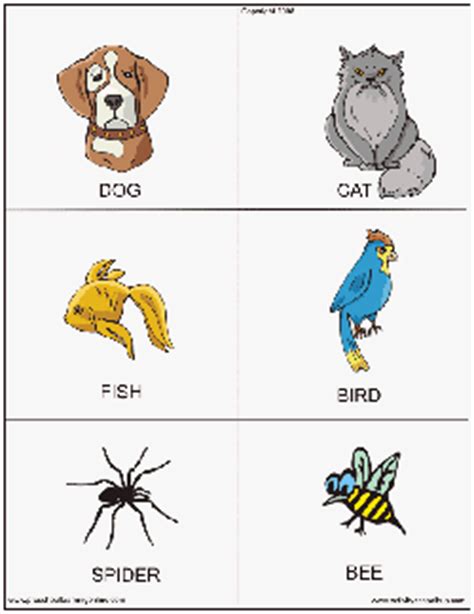 animal flashcards  kids preschool learning  lesson plans
