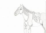 Horse War Sketch Old Weasyl sketch template