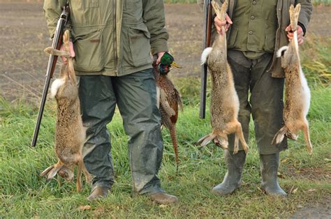 reasons animal hunting   banned